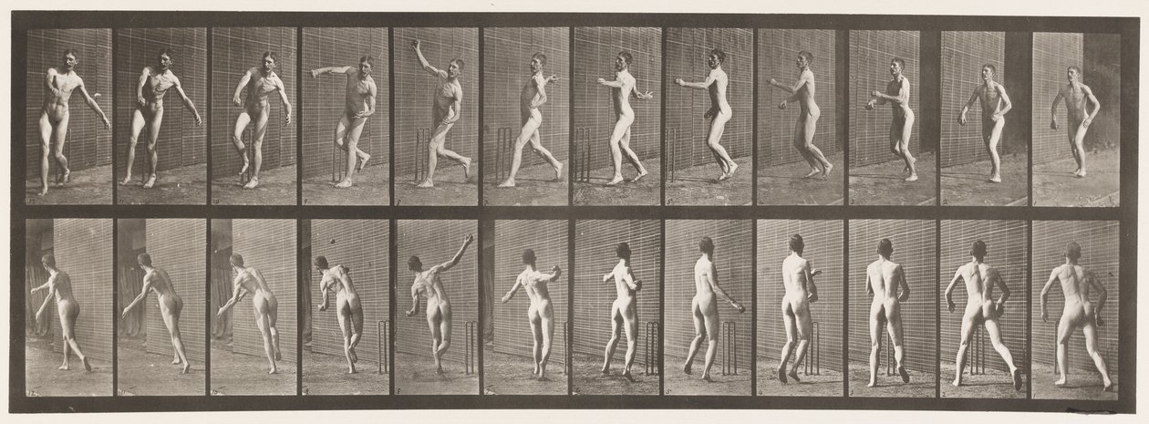 Placa 290. Críquet; lanzamiento por encima del brazo, 1885 de Eadweard Muybridge