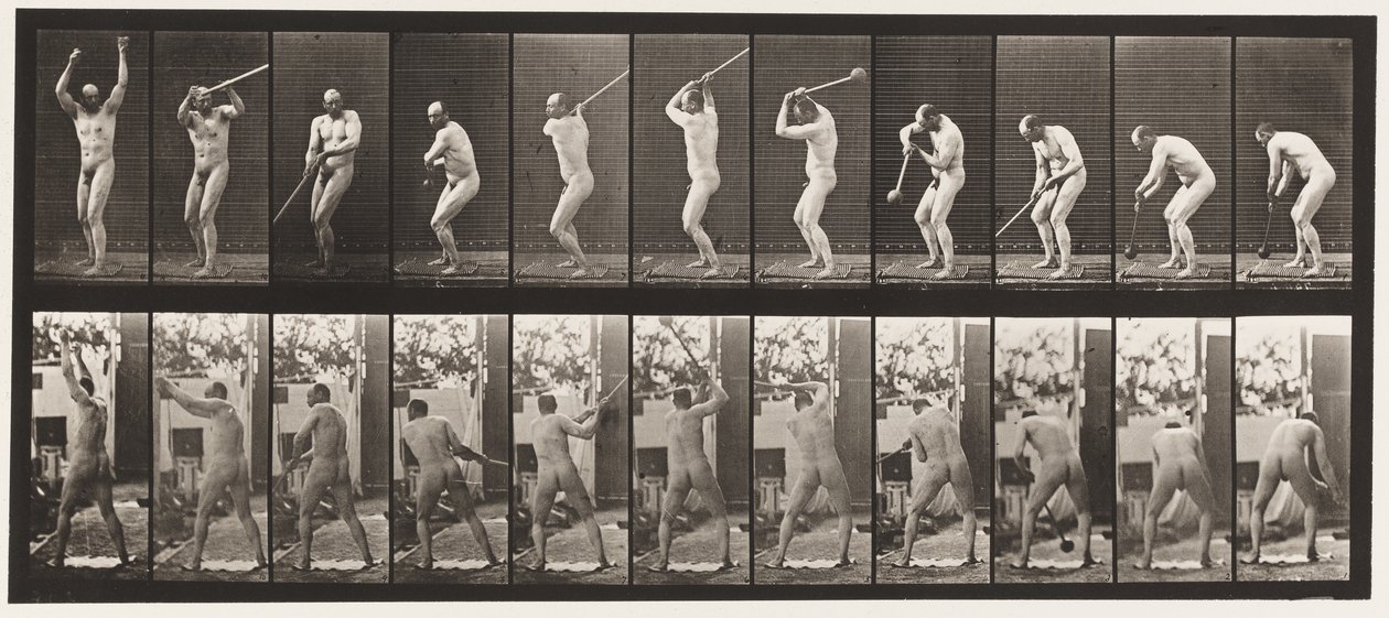 Placa 308. Lanzando el martillo, 1885 de Eadweard Muybridge