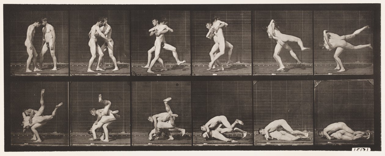 Placa 347. Lucha, Grecorromana, 1885 de Eadweard Muybridge