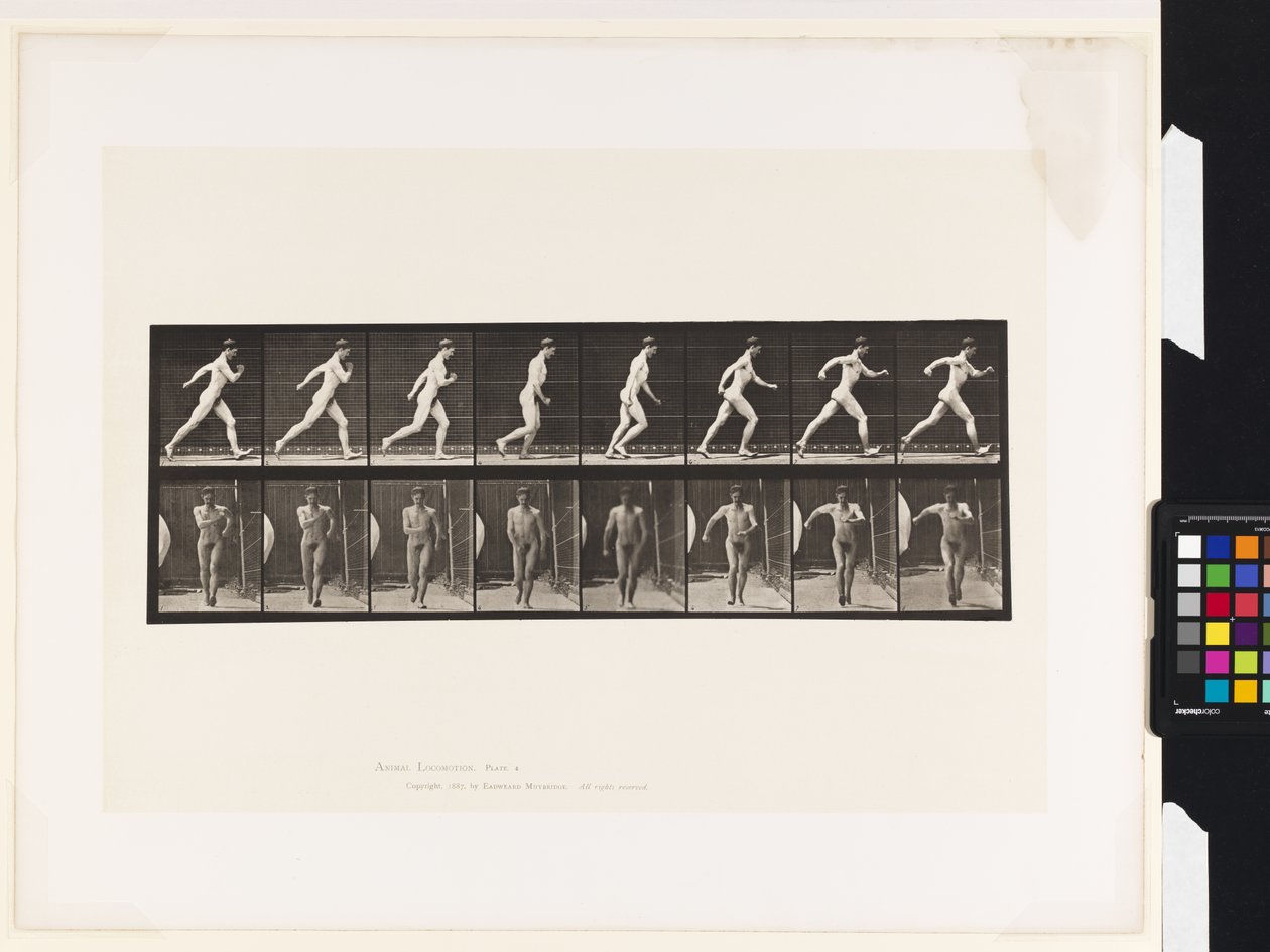 Placa 4. Caminando de Eadweard Muybridge