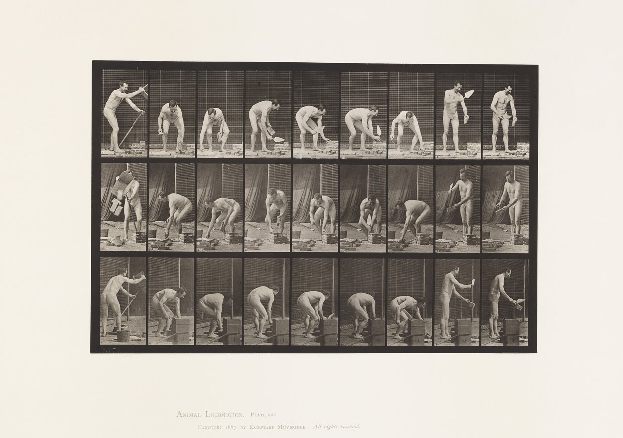 Placa 505. Albañilería de Eadweard Muybridge