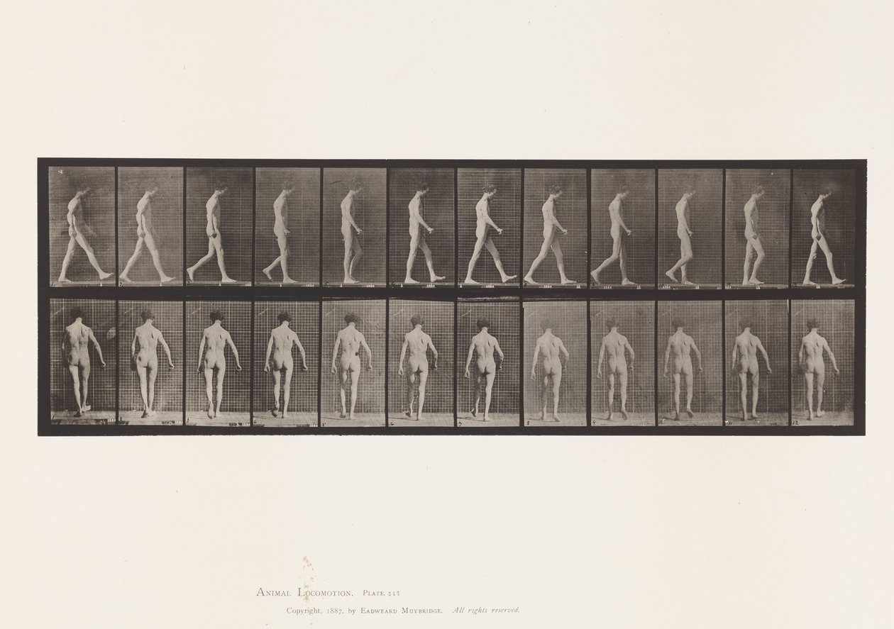 Placa 546. Ataxia locomotora; caminando de Eadweard Muybridge