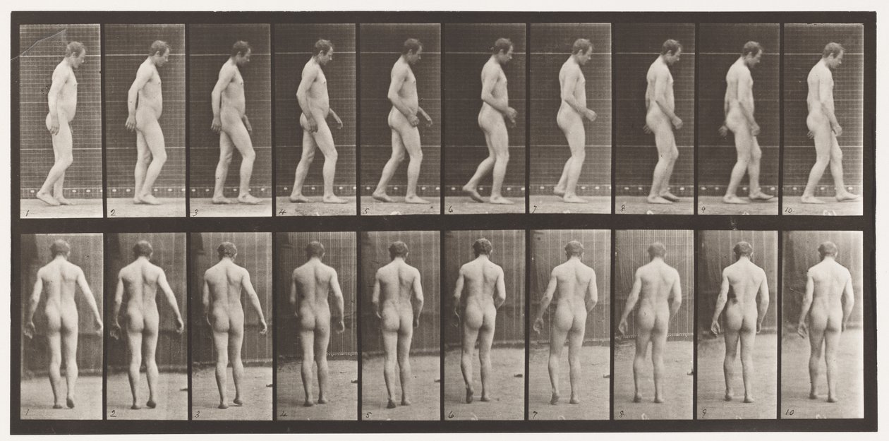 Placa 553. Después de un Traumatismo en la Cabeza; Caminando, 1885 de Eadweard Muybridge