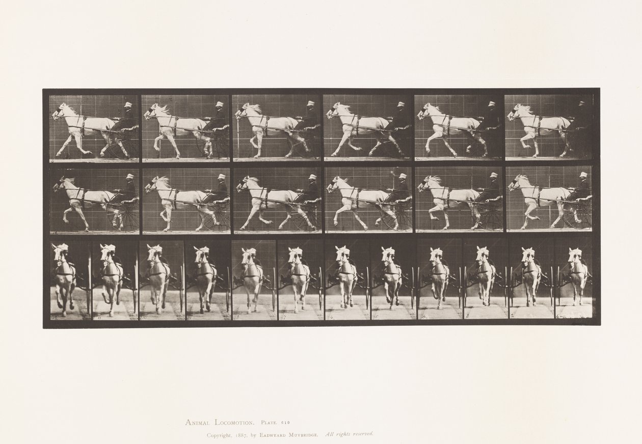 Placa 610. Trote; Sulky; Yegua gris, Katydid de Eadweard Muybridge