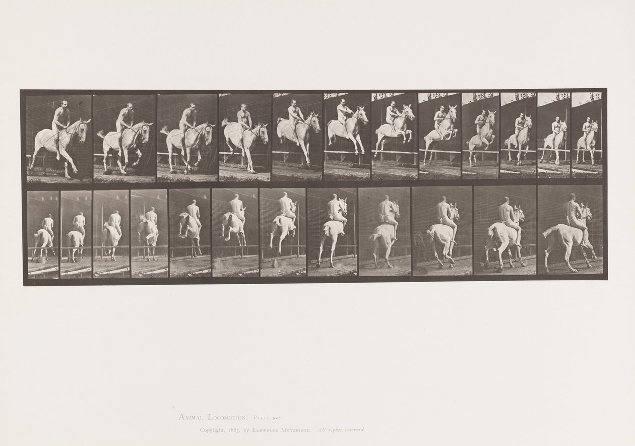 Placa 647. Saltando una Valla; Sin Silla; Jinete de Eadweard Muybridge