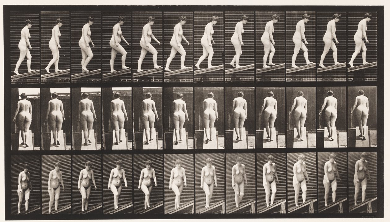 Placa 77. Subiendo una pendiente de Eadweard Muybridge