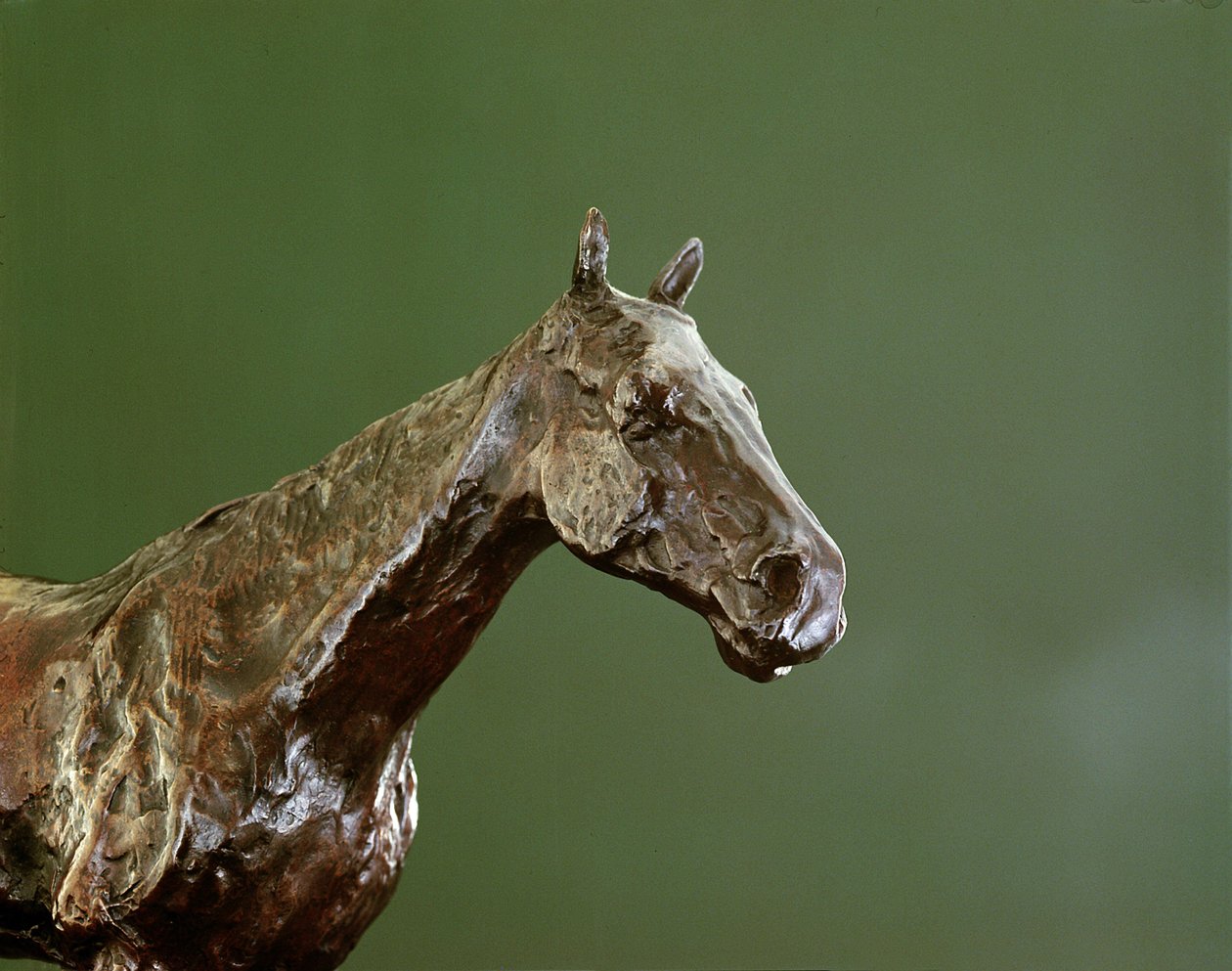 Cabeza de caballo (detalle) de Edgar Degas