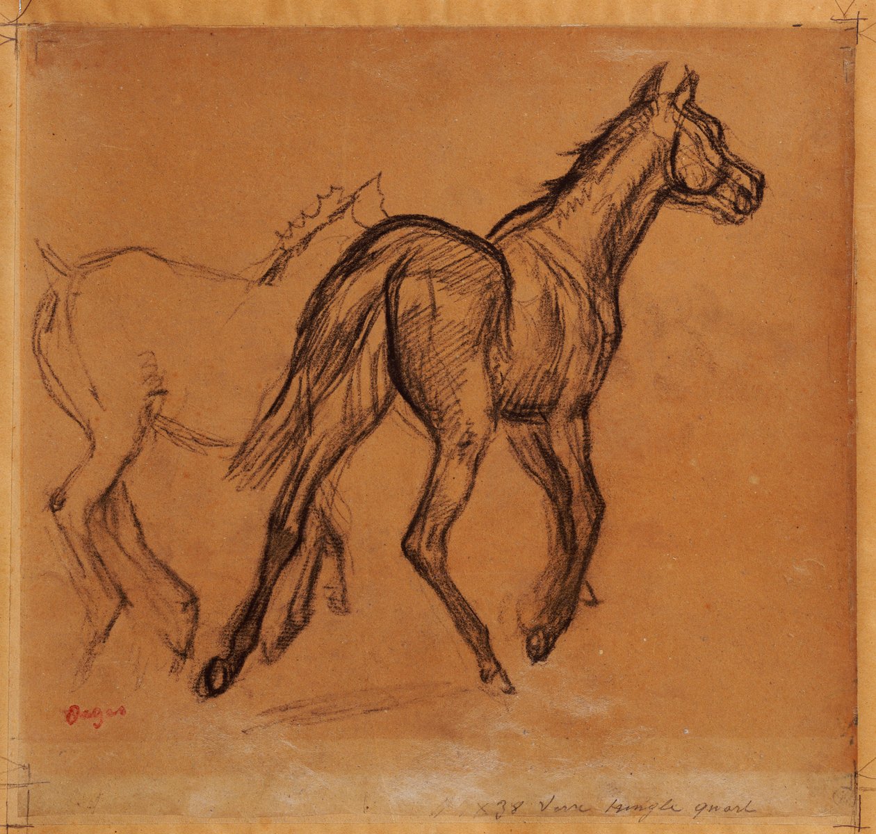 Caballos, c.1882 de Edgar Degas