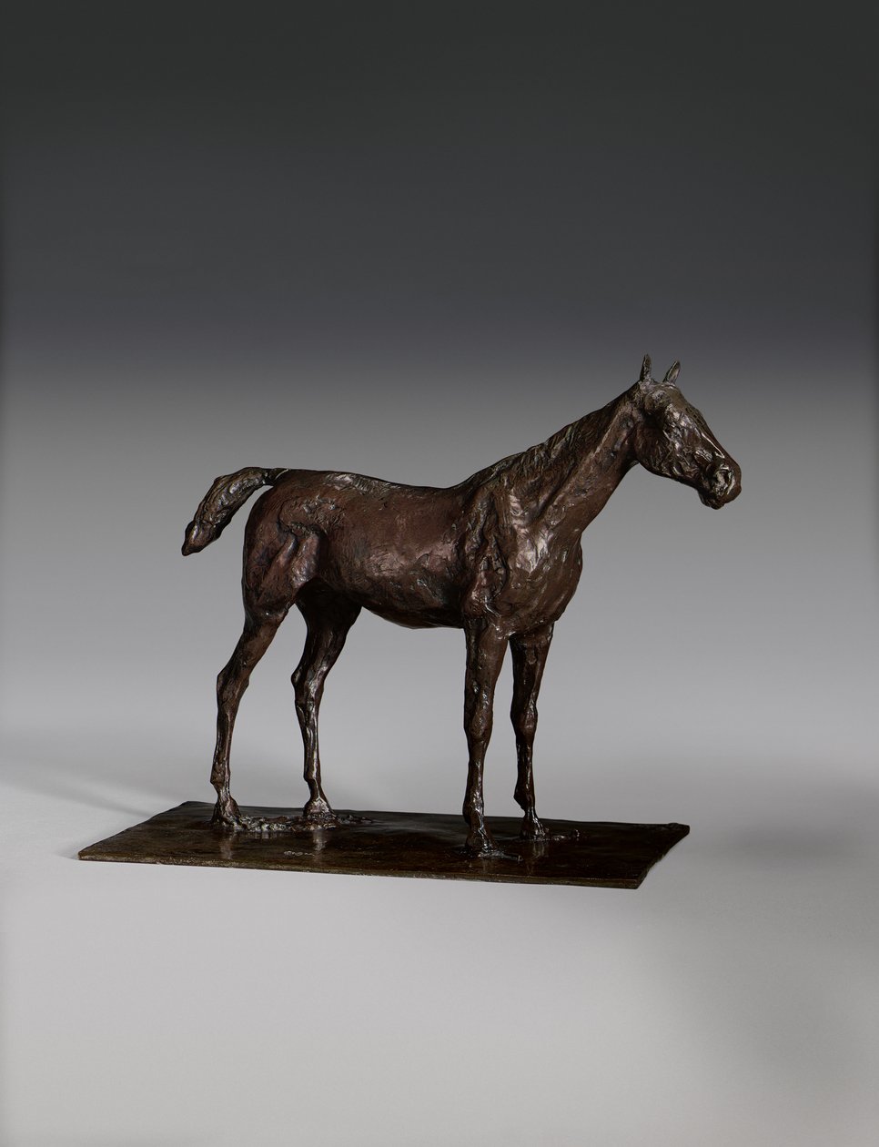 Caballo de pie de Edgar Degas