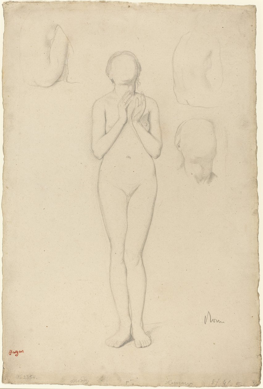 Estudio de un desnudo femenino de Edgar Degas