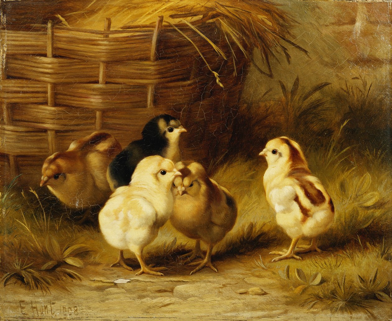Pollitos por cesta de Edgar Hunt