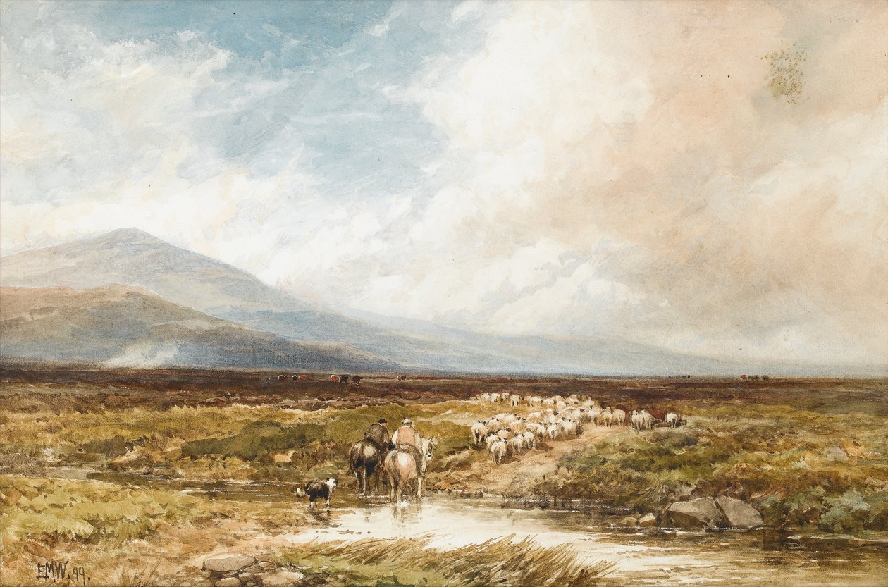 Tavy Cleave, Dartmoor, 1899 de Edmund Morison Wimperis