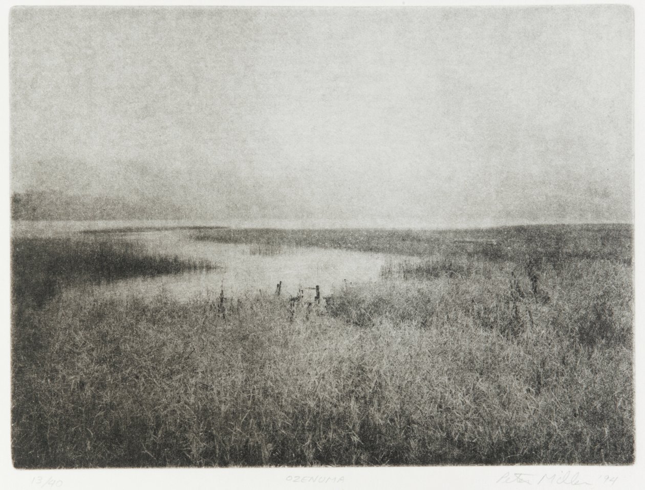 Ozenuma, 1994 de Edouard Cremieux