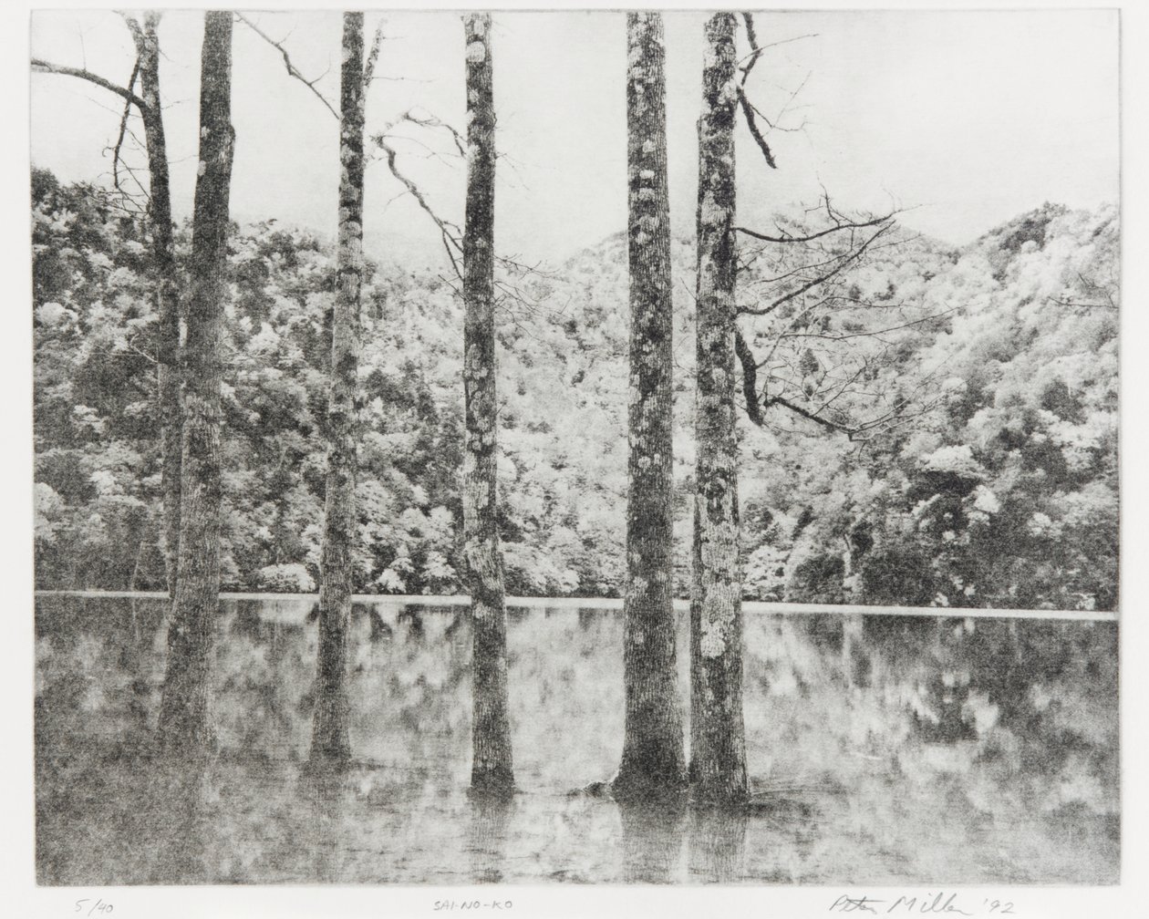 Sai-no-Ko, 1992 de Edouard Cremieux