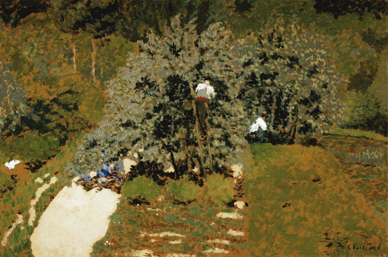 La Cueillette, 1899-1900 de Edouard Vuillard