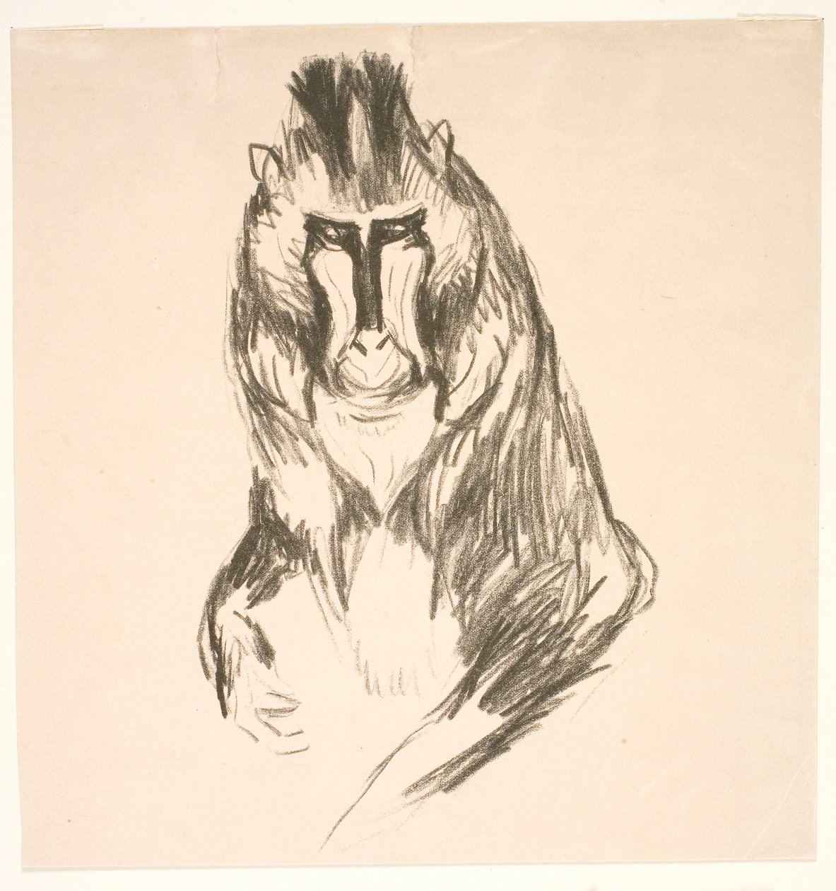 Gorila (Mandril) de Edvard Munch
