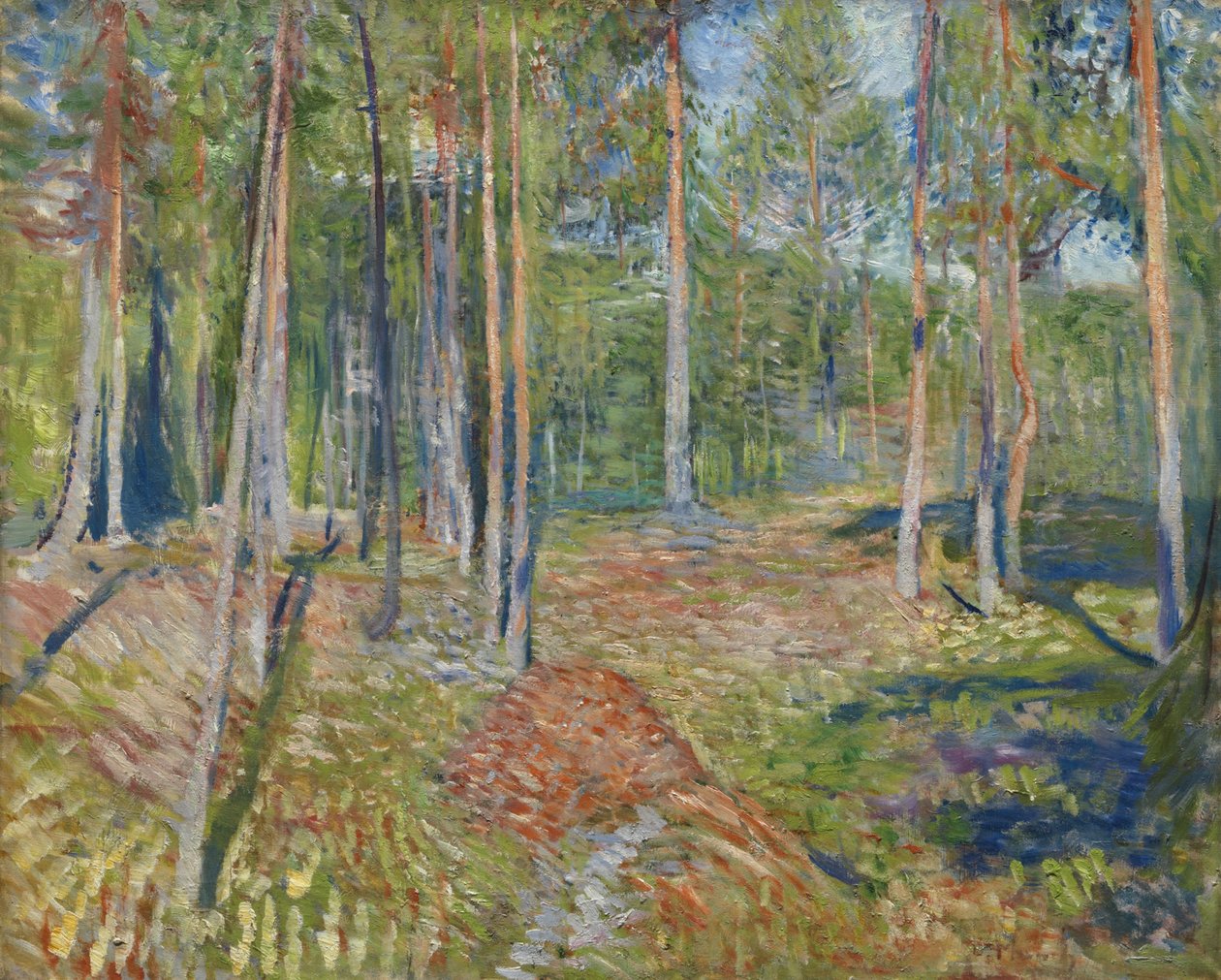 Bosque de pinos, 1891-1892 de Edvard Munch