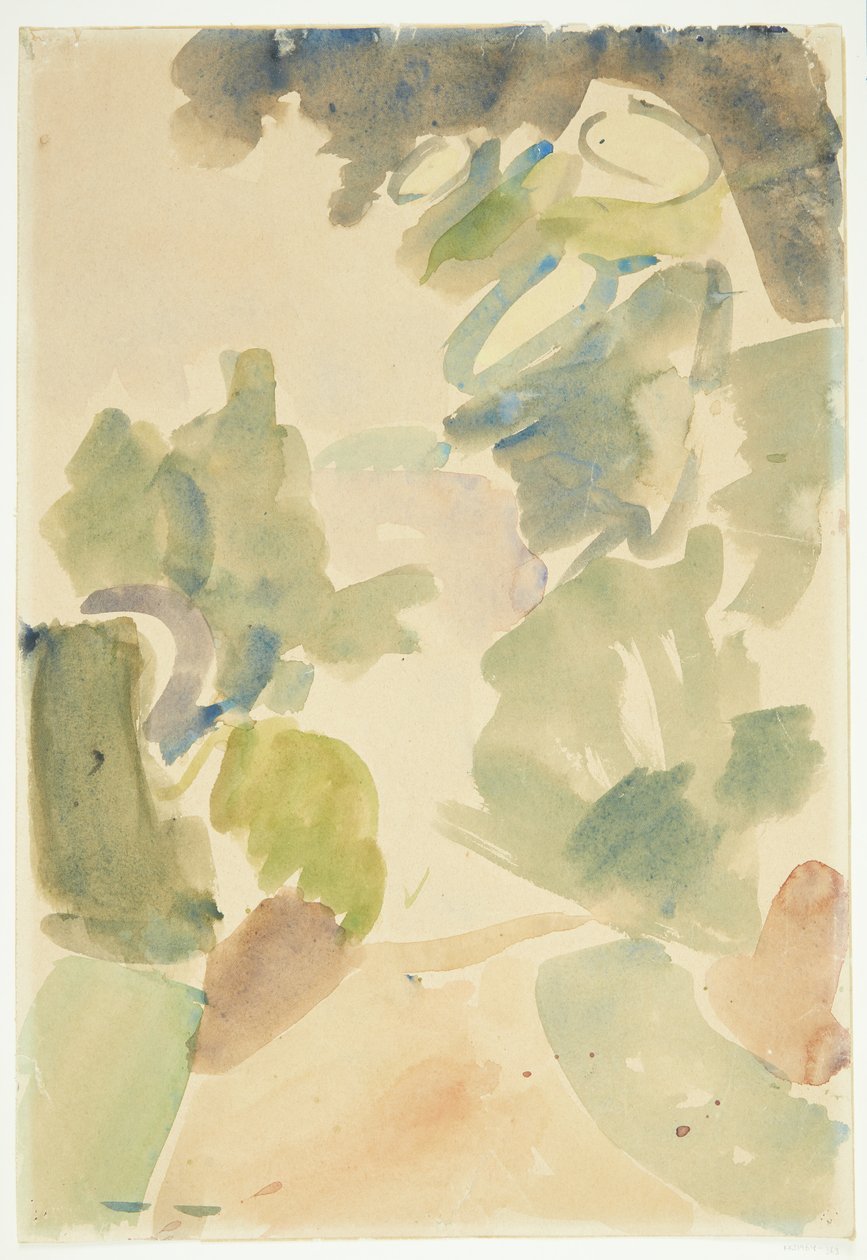 Camino forestal. Estudio de color de Edvard Weie
