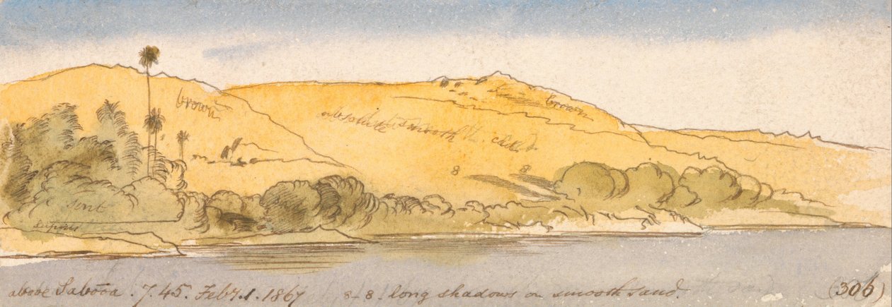 Sobre Sabooa de Edward Lear