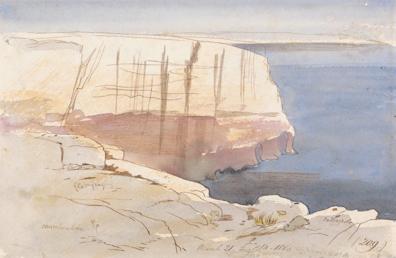 Gozo, cerca de Malta de Edward Lear