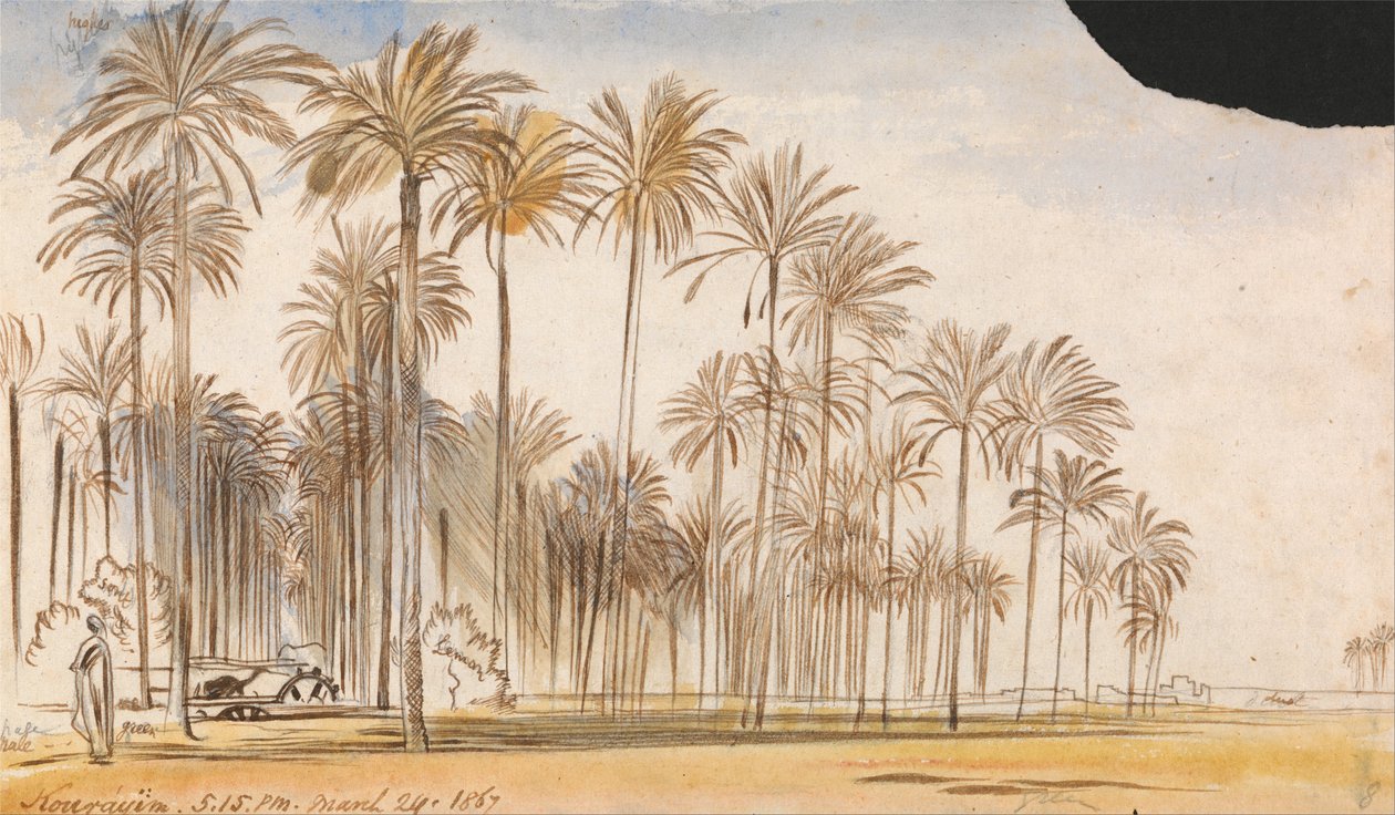 Kourayim de Edward Lear