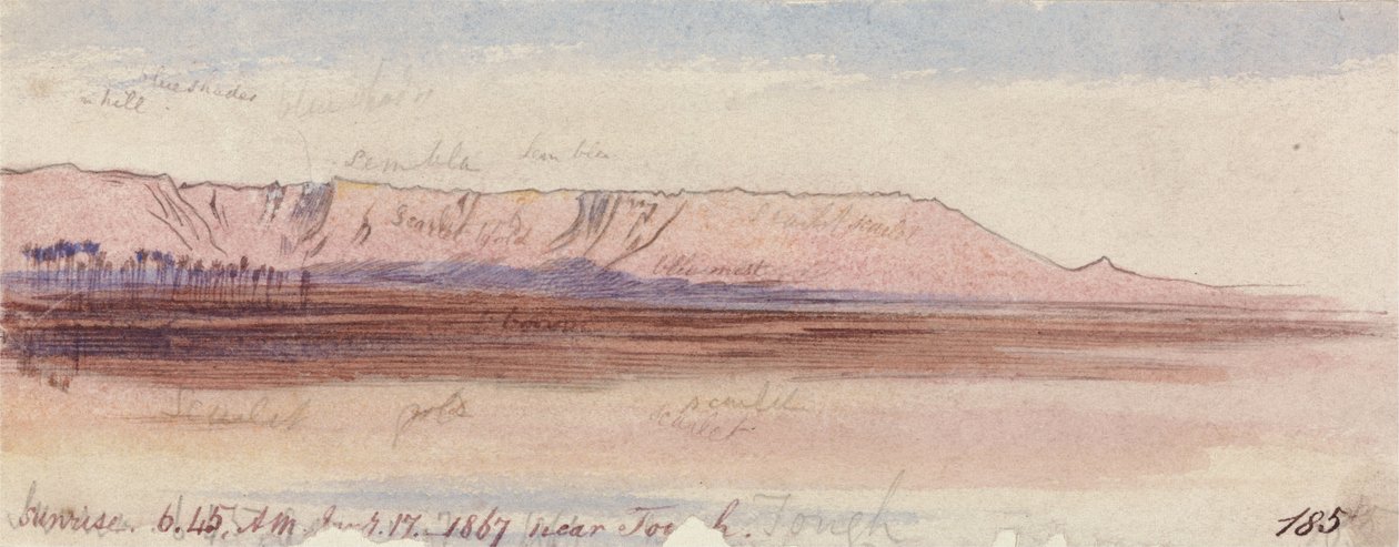 Cerca de Tough de Edward Lear