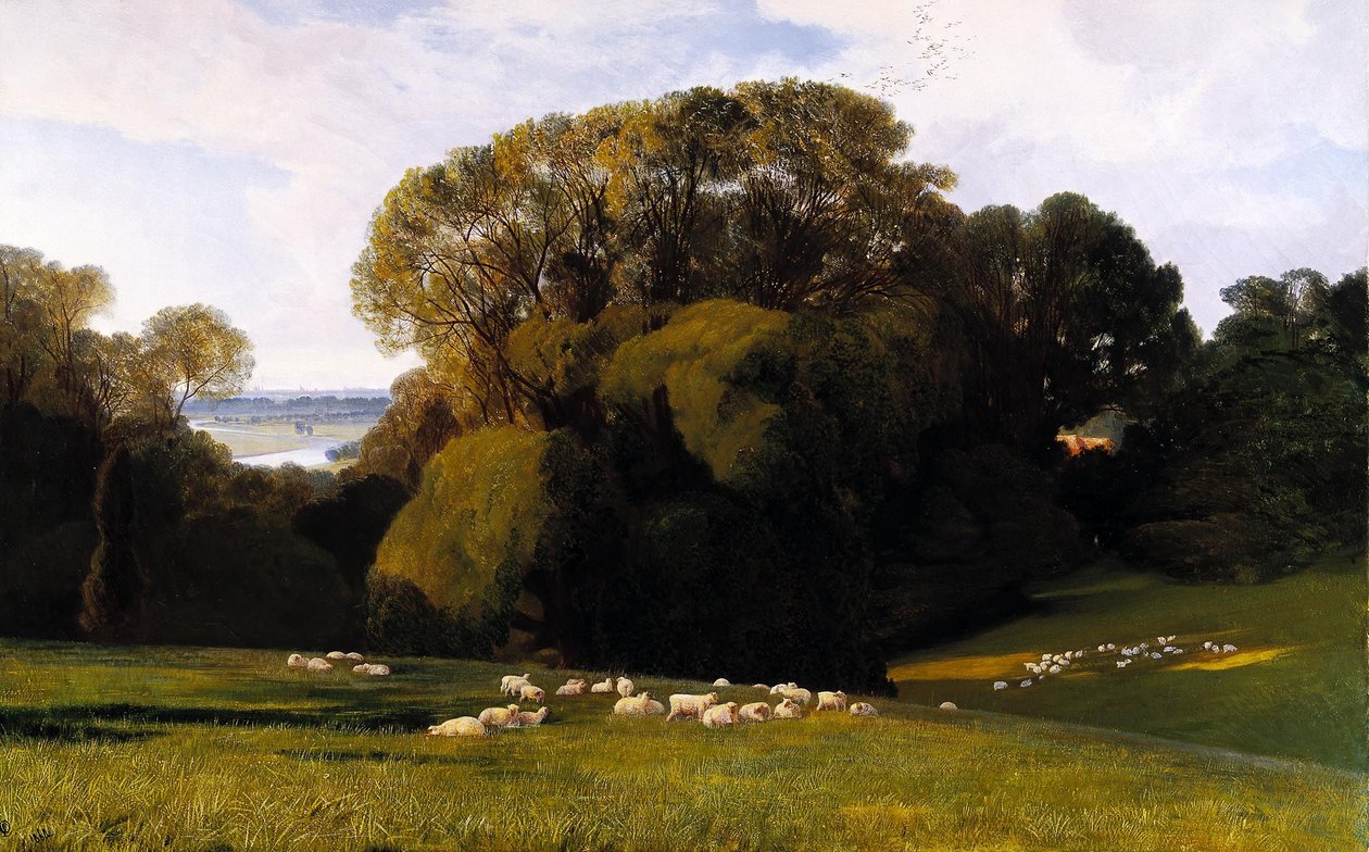 Nuneham de Edward Lear