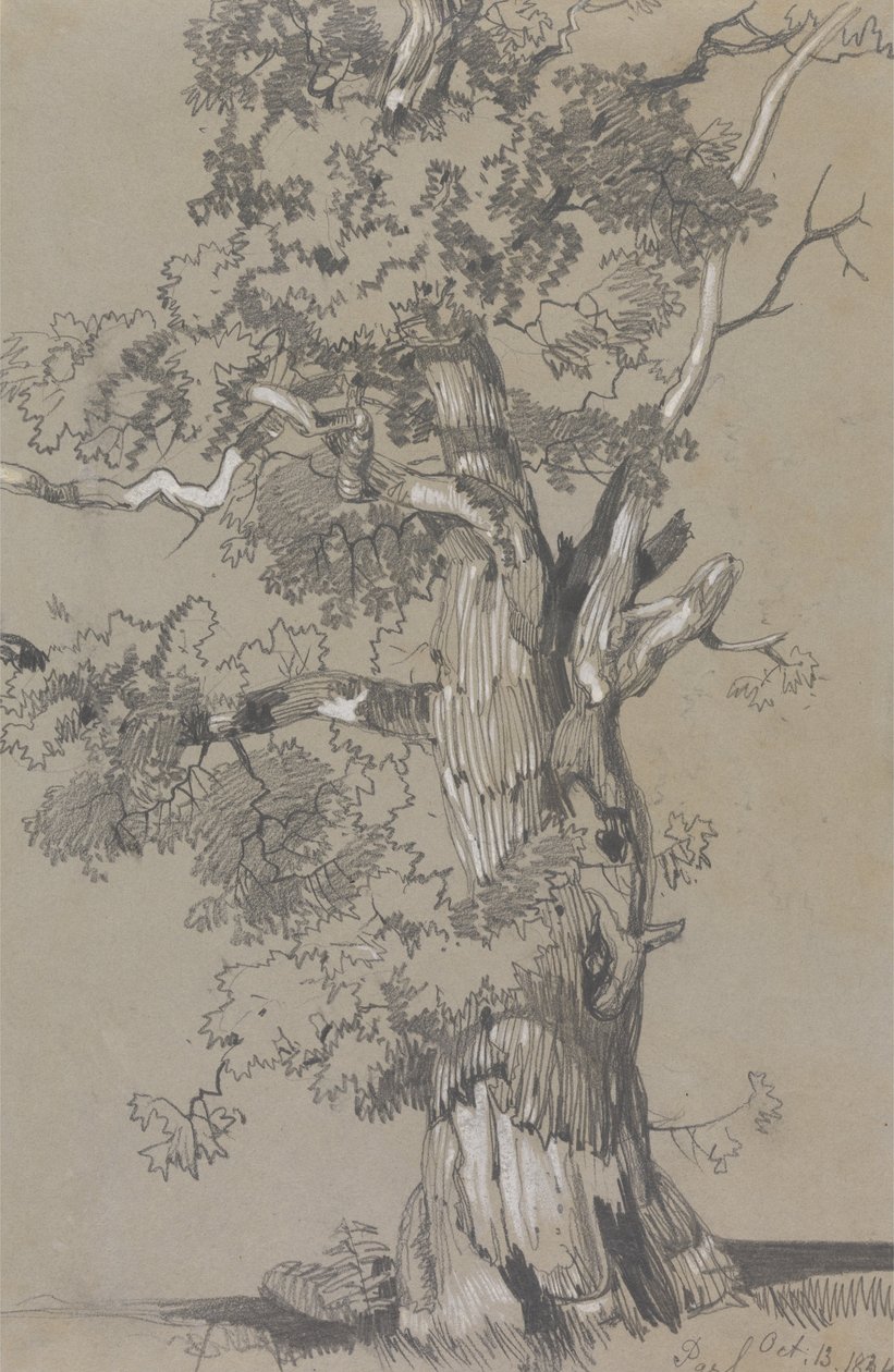 Parham, 13 de octubre de 1834 de Edward Lear