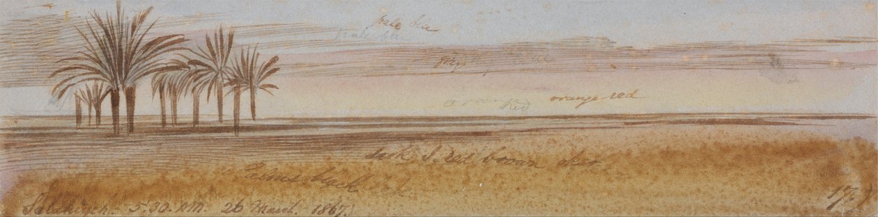Salahiyeh de Edward Lear