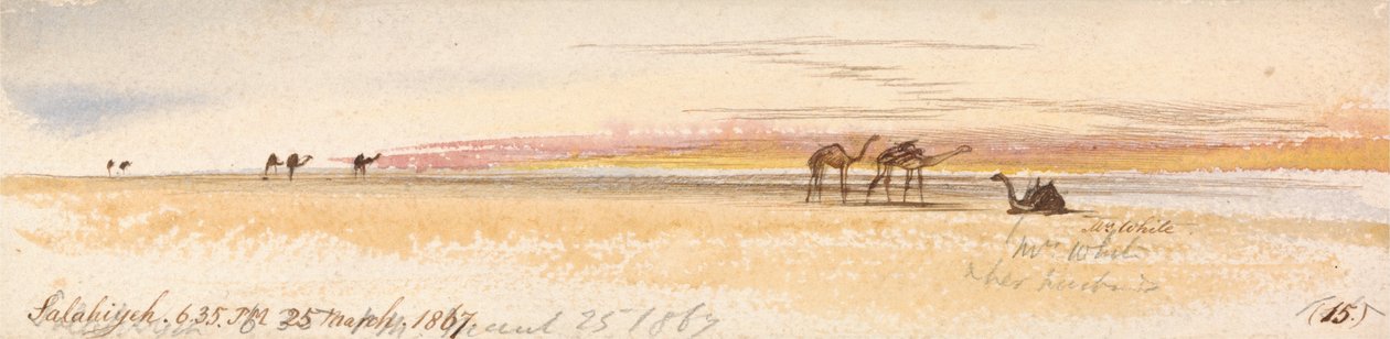 Salahiyeh de Edward Lear