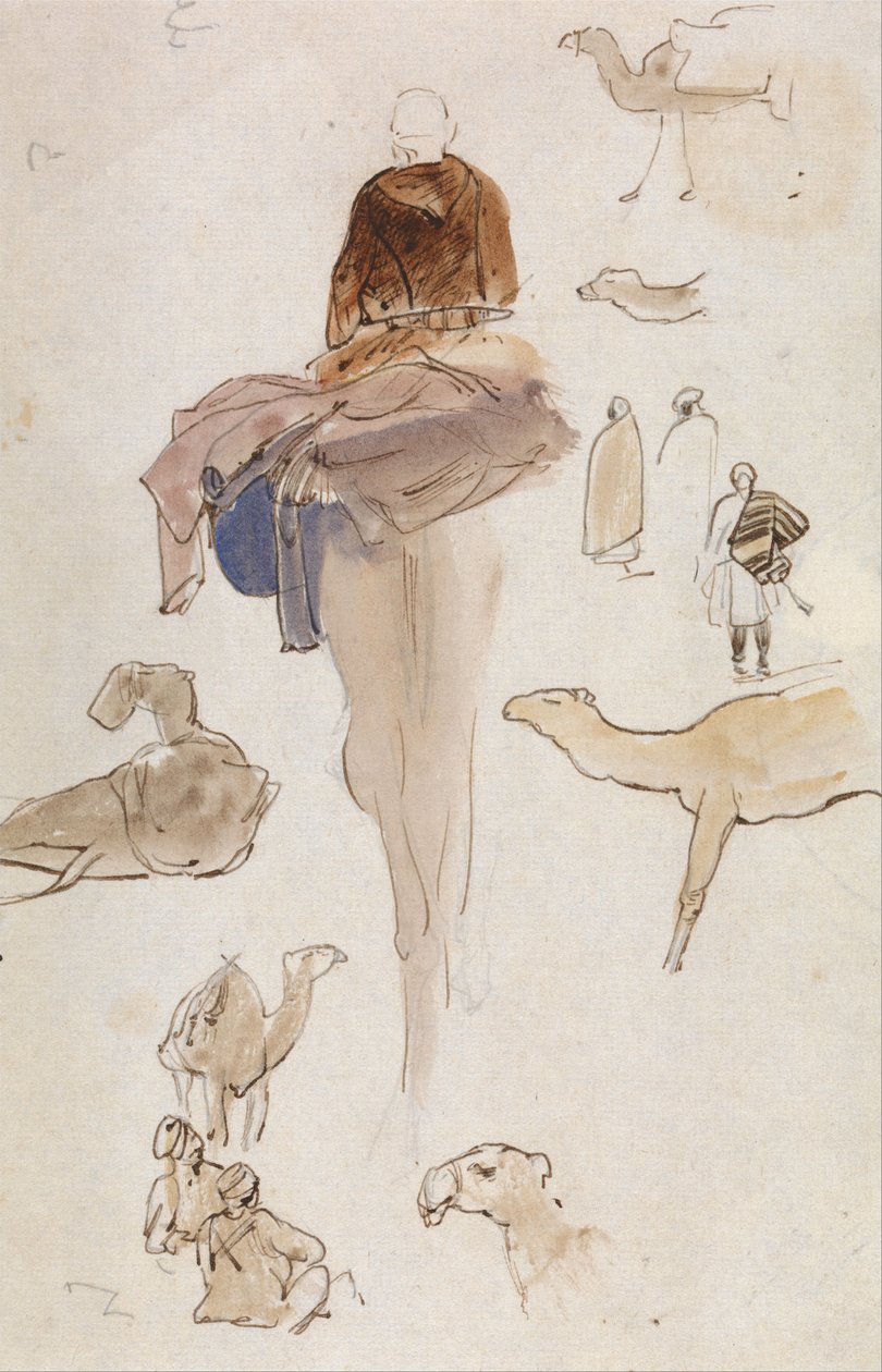 Estudios de camellos de Edward Lear