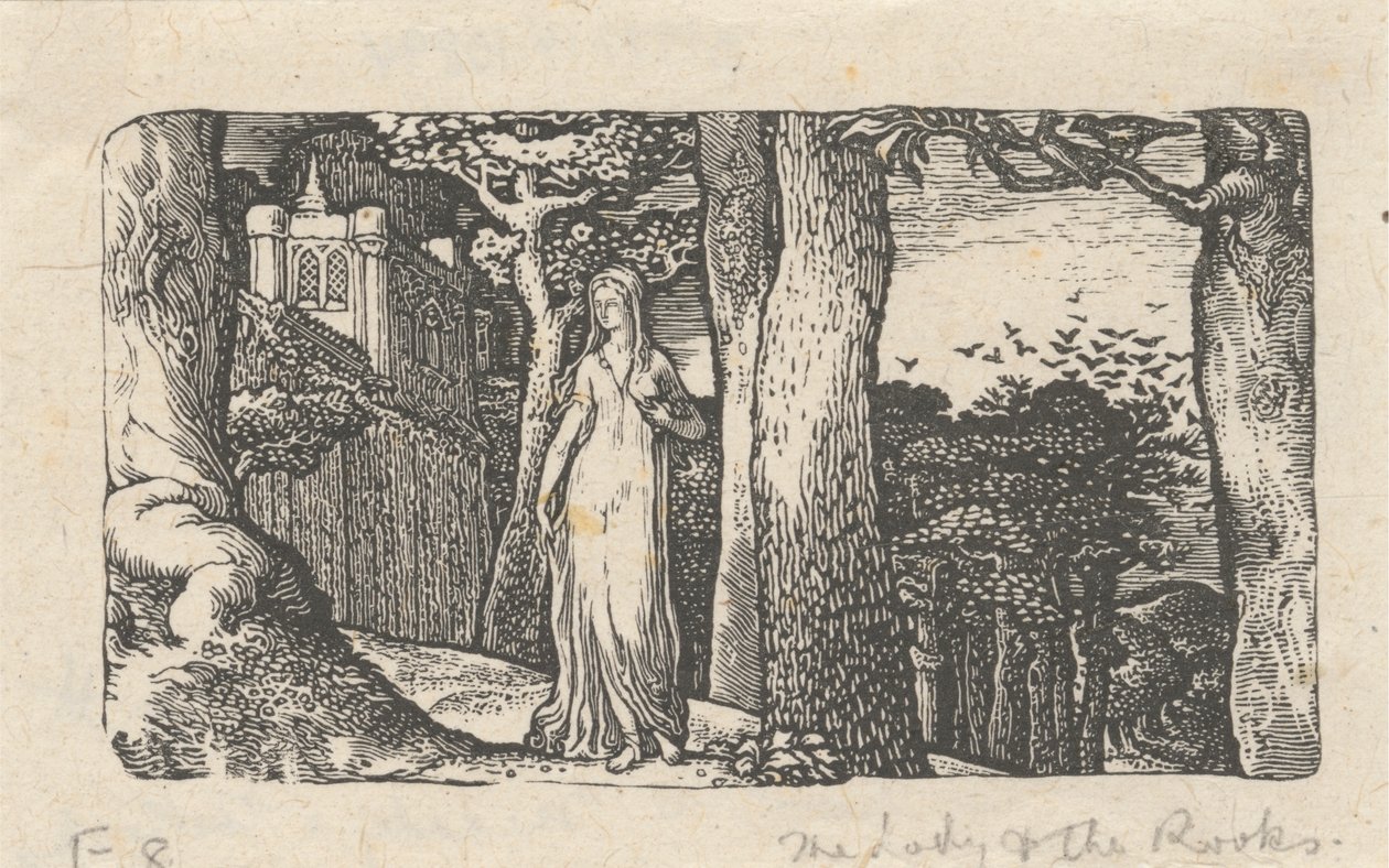 La dama y los grajos de Edward Calvert