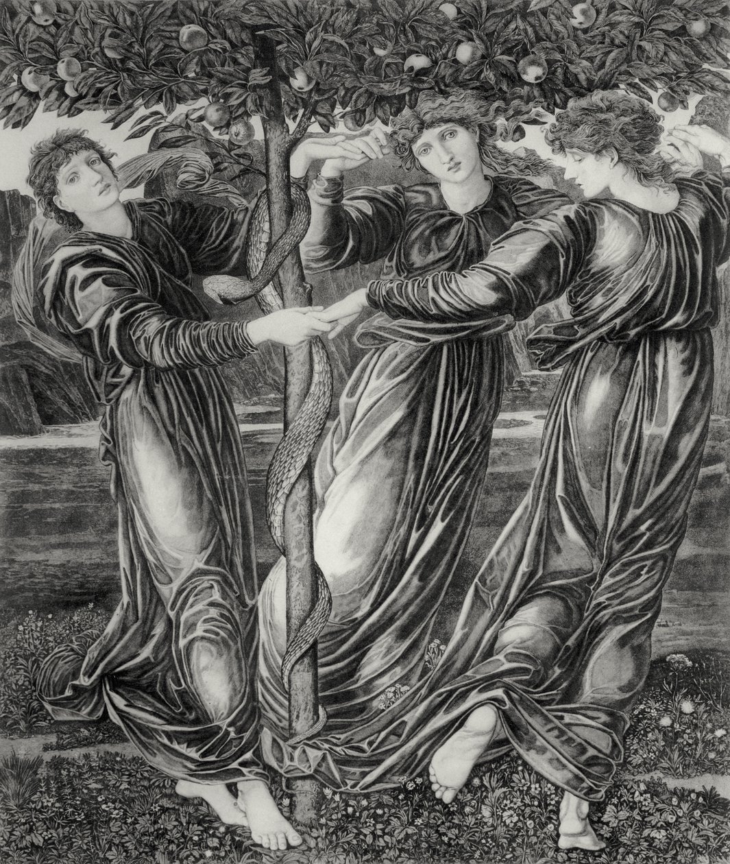 El Jardín de las Hespérides de Edward Coley (after) Burne Jones