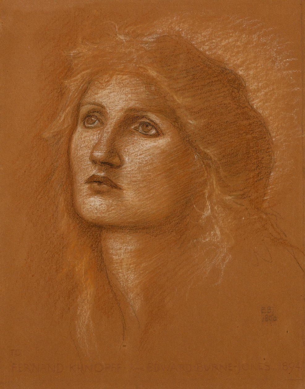 Cabeza de una mujer, 1890 de Edward Burne Jones