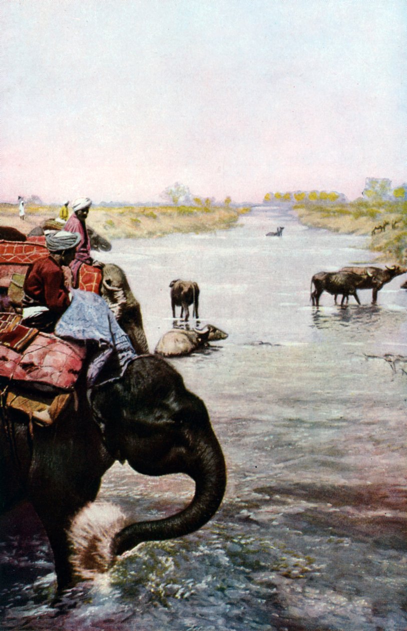 Escena del río, India Central, c. 1930s de Edward E Long