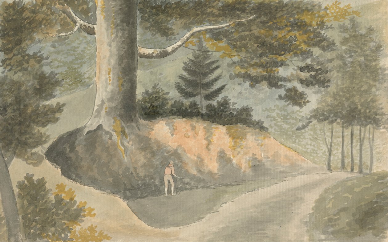 Carretera en el bosque de Edward Francis Burney