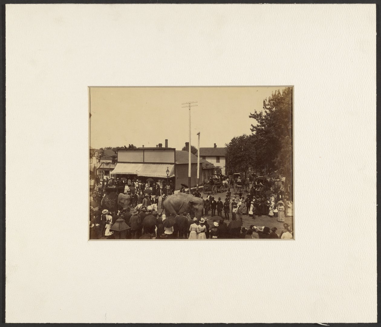 [Elefantes caminan por la ciudad, Maple City] de Edward H. Hart