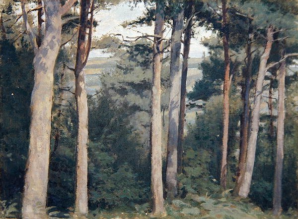 Castillo Lambert de Edward Ingram Taylor