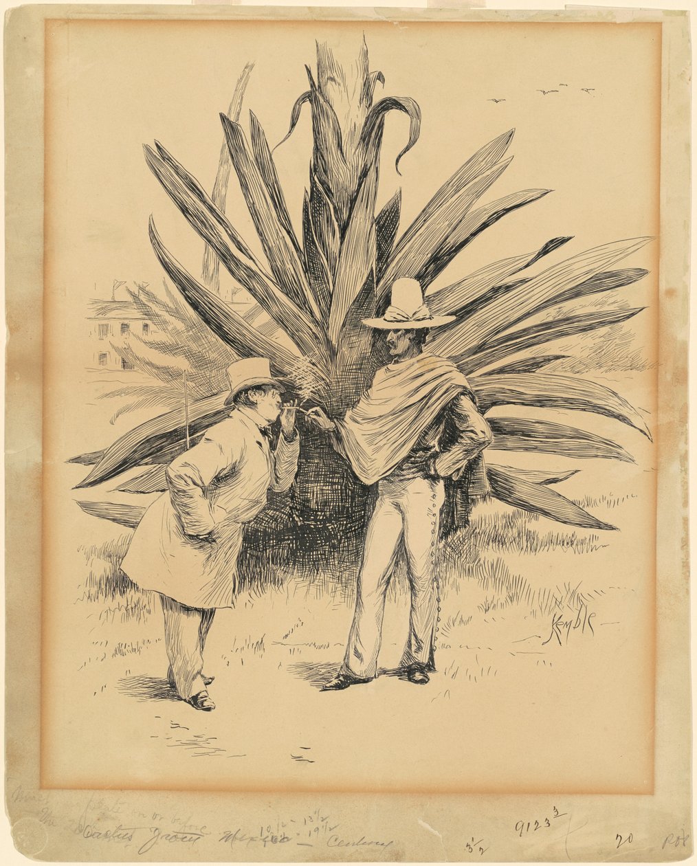 Cactus de México de Edward Kemble