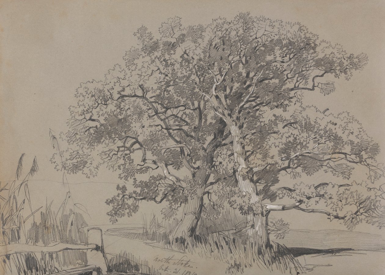 North Stoke. 21 de octubre de 1834. de Edward Lear
