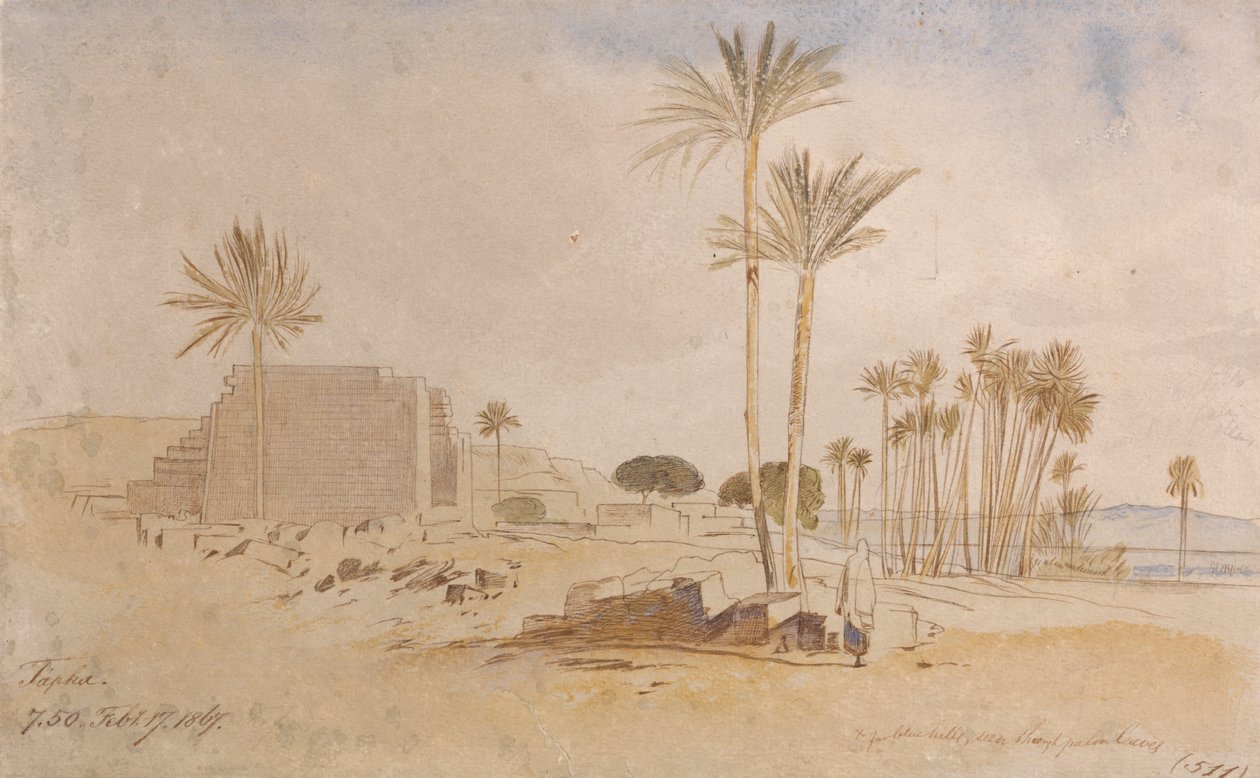 Tapha, 7:50 a.m., 17 de febrero de 1867 de Edward Lear