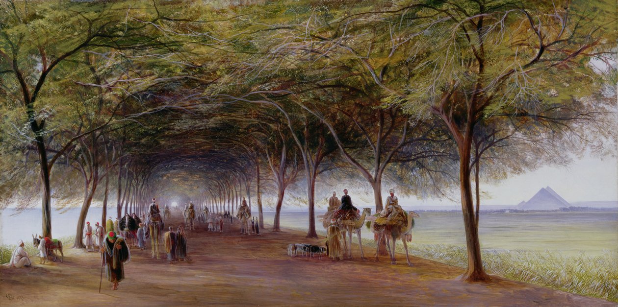Vista de la Carretera de las Pirámides, Giza de Edward Lear