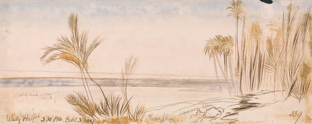 Desventajas de Halfeh de Edward Lear