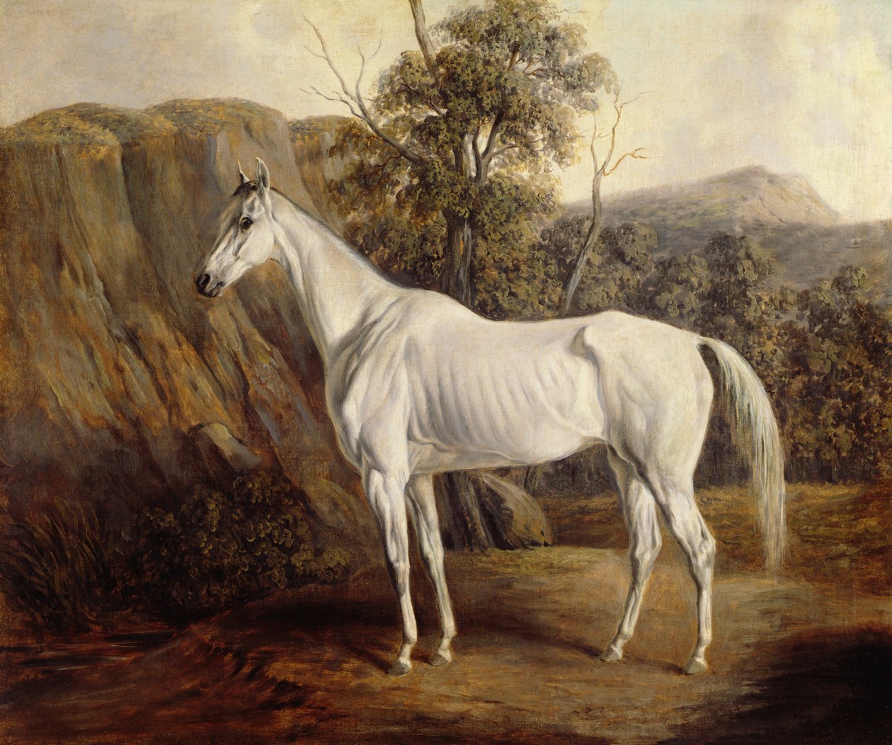 Bolivia, 1836 de Edward Troye