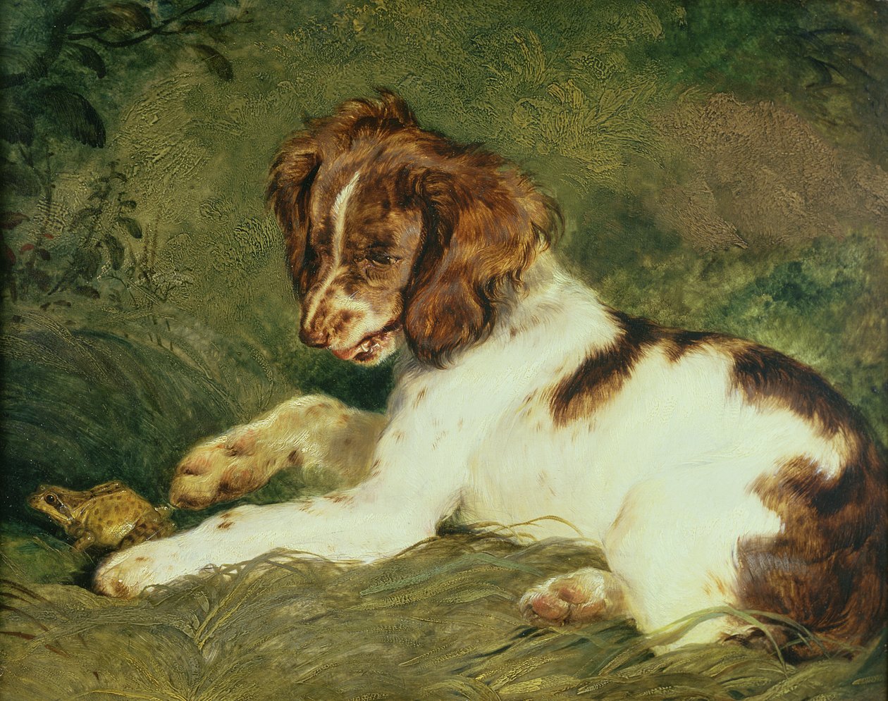 Un Cachorro molestando a una Rana, 1824 de Edwin Landseer