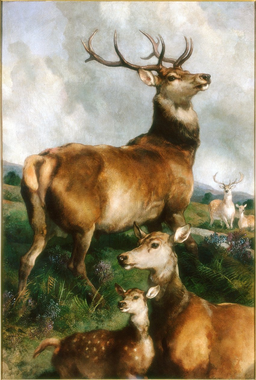 Ciervos del Parque Chillingham, Northumberland, c.1867 de Edwin Landseer