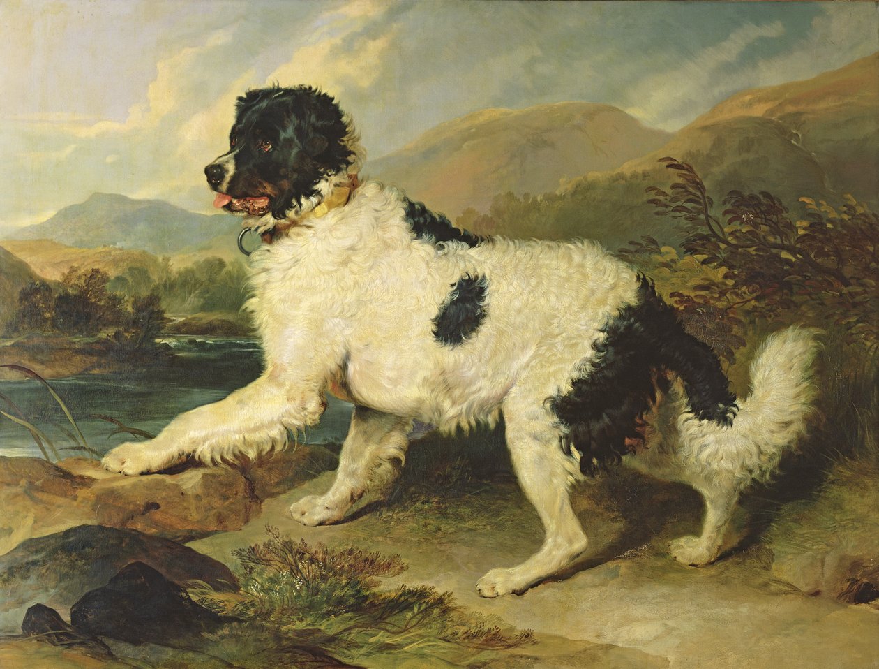 Perro de Terranova llamado León, 1824 de Edwin Landseer
