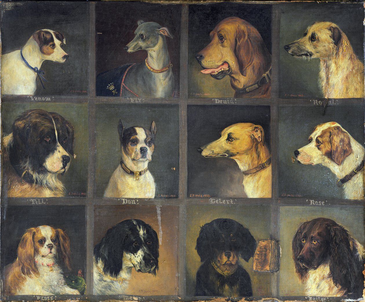 Doce Perros Favoritos, 1883 de Edwin Frederick Holt