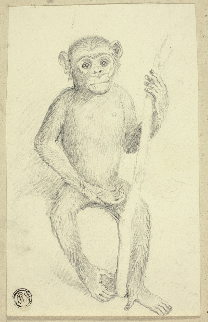 Orangután de Edwin Henry Landseer