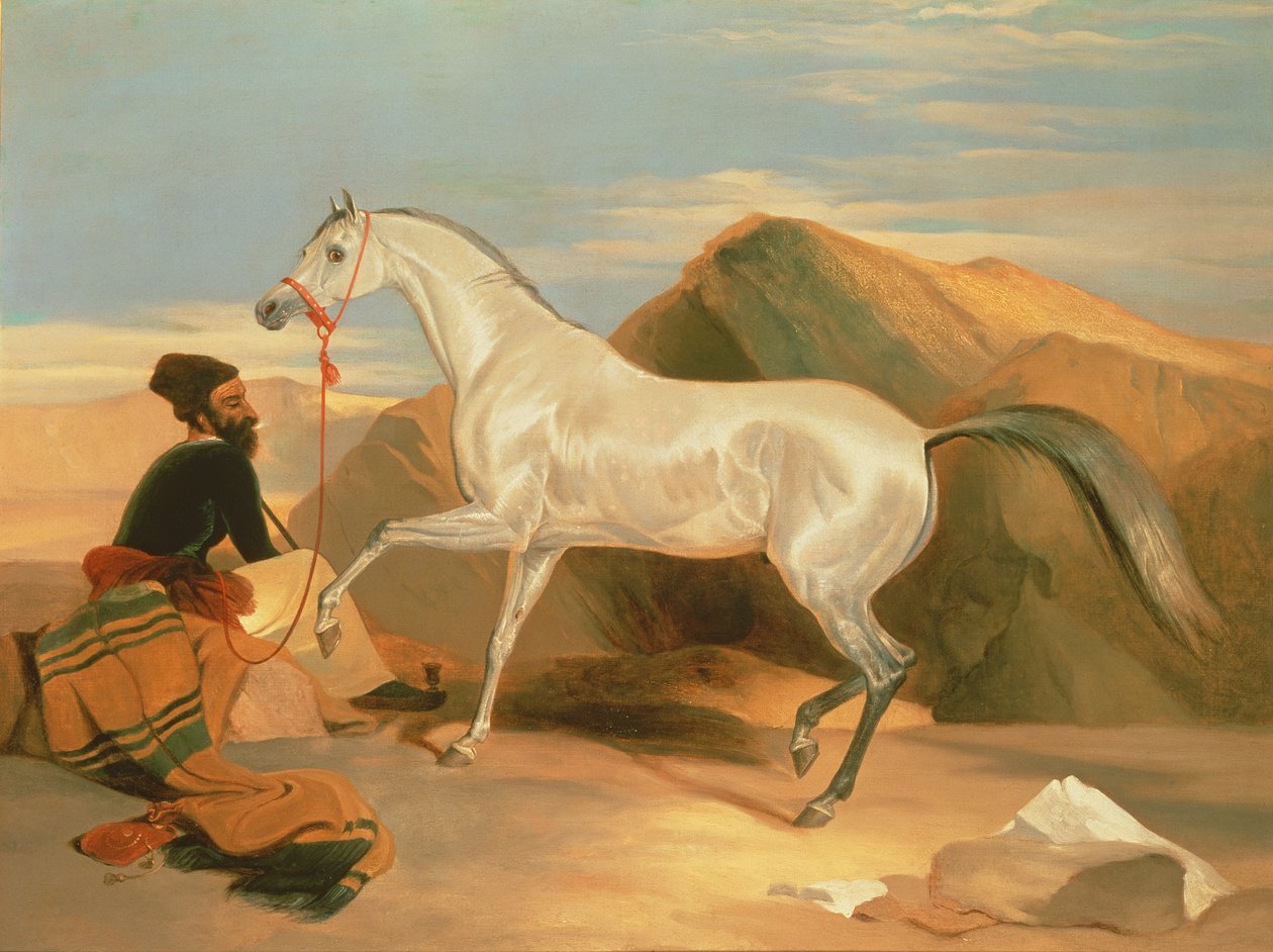 Semental árabe de Edwin Landseer